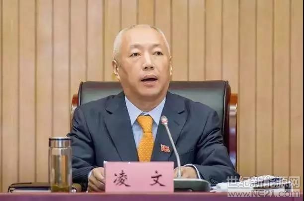 国家能源集团总经理凌文调任山东省副省长