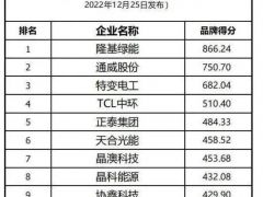 隆基绿能斩获全球光伏品牌两项第一