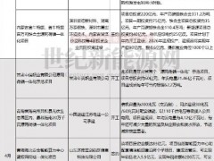 超20个“源网荷储”一体化项目上半年开工、签约、投产