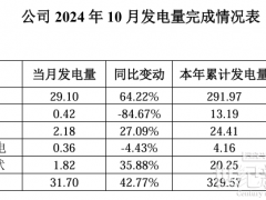 长源电力：1-10月新能源累计发电量同比增长55.27%