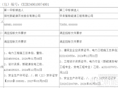 阳光新能源拟中标国家能源山东200MW户用光伏EPC工程