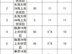 1GW海上光伏招标！大单背后，有哪些新机遇？