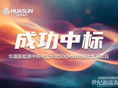 500MW！华晟以领跑者实力再度中标中国华能光伏组件集采