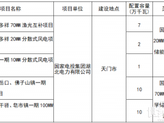 国家电投独揽！湖北发布2024年第一批新能源发电项目名单