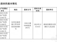 突遭查封！光伏企业靠“卖子"续命 仍难逃败局？